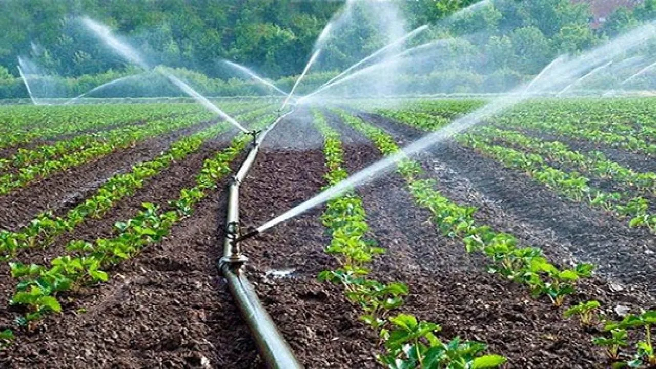 توقعات صندوق النقد.. نمو اقتصاد المغرب يصل 4.9% بفضل الاستثمار والإنتاج الفلاحي وسنة 2026